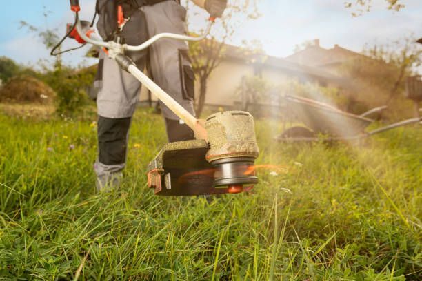 Person using a weed wacker to trim tall grass in a sunny yard.