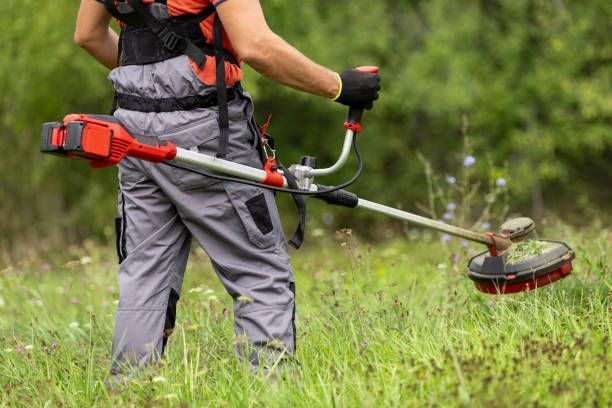 Person using a red and silver weed whacker to trim grass in a field.