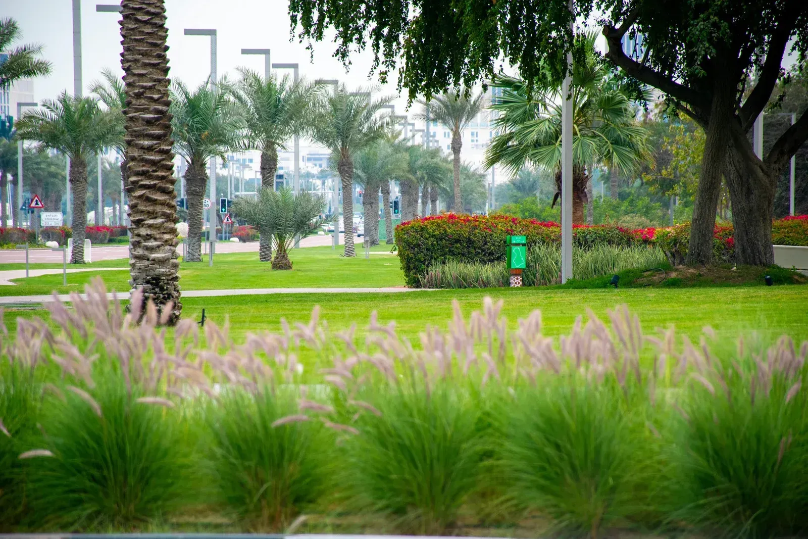 Green park with palm trees, grass, and flowering plants. A bright, sunny day.