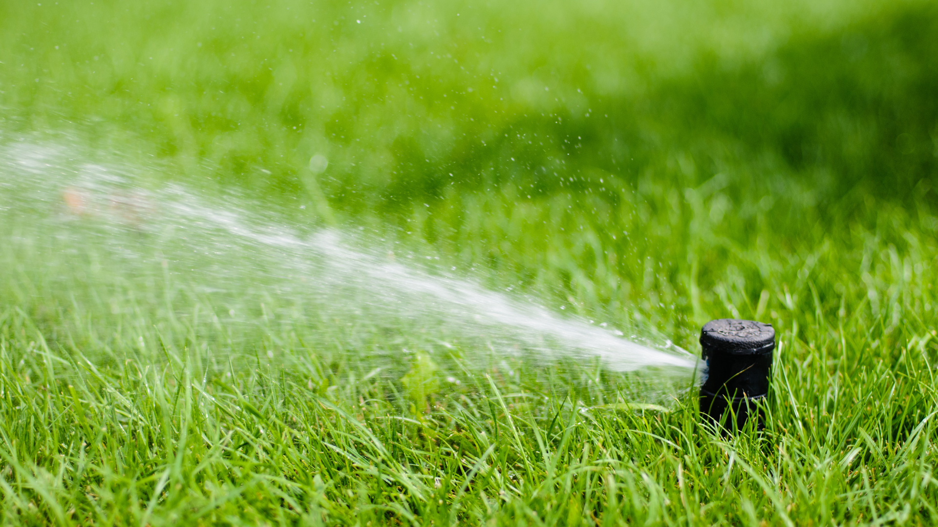 lawn sprinkler