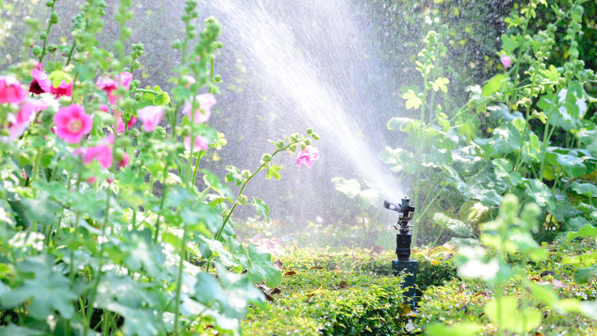 garden sprinkler