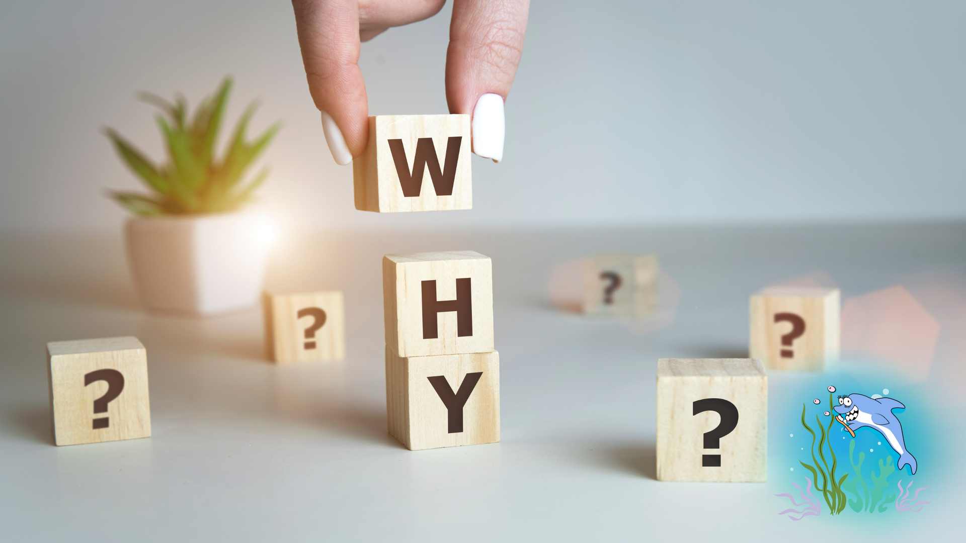 Hand placing wooden block with