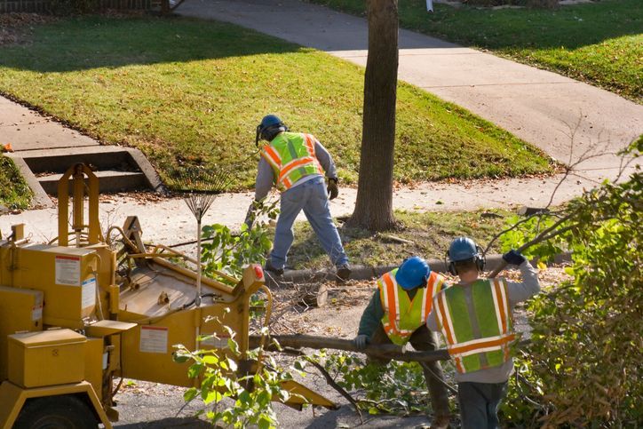 tree mulching azle tx