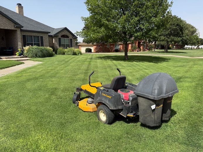 A yellow and black riding lawnmower with a grass catcher is on a green lawn in front of a suburban house on a sunny day.