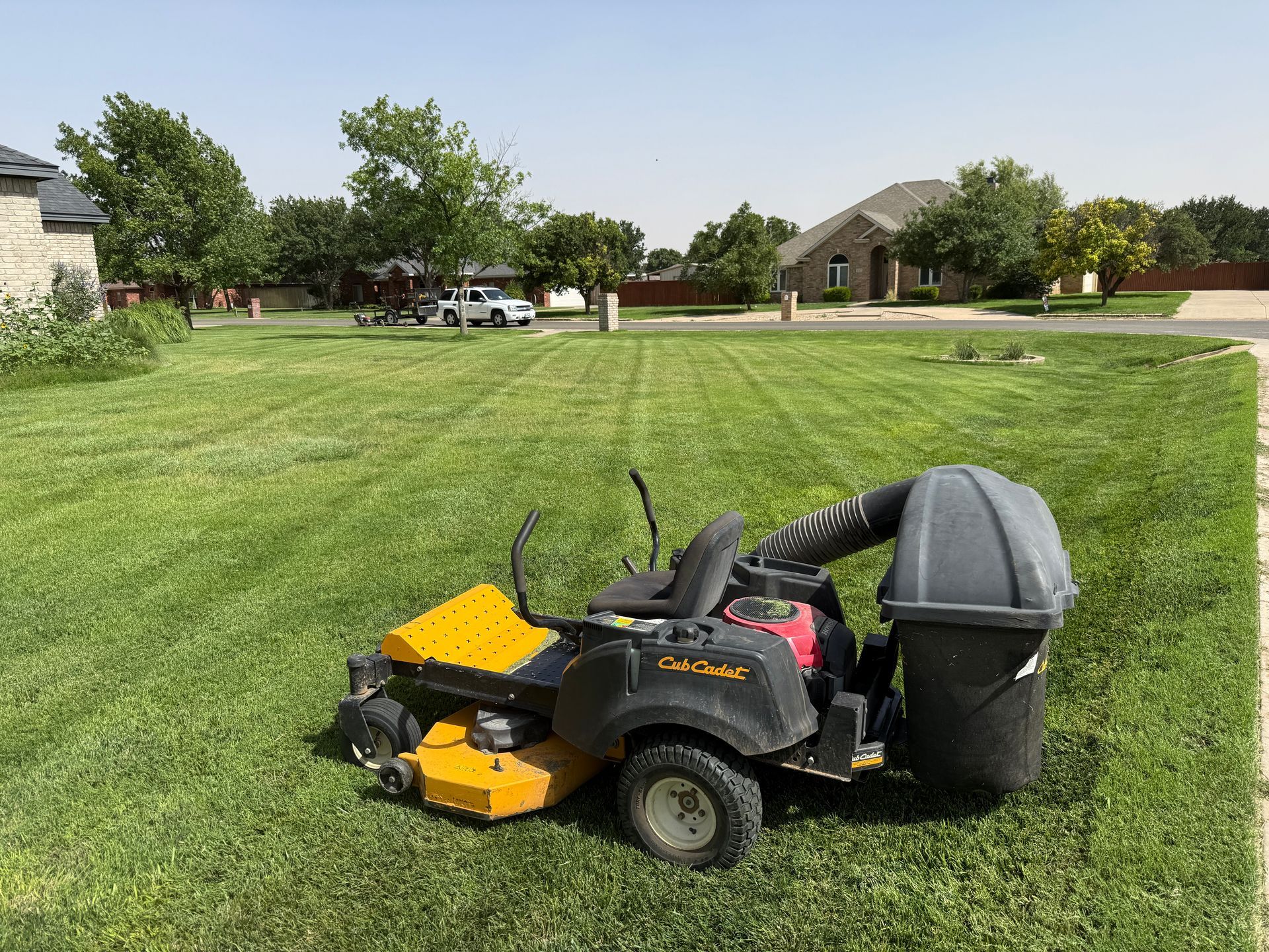 Yellow and black zero-turn lawn mower with a grass catcher on a green lawn. A neighborhood is in the background.