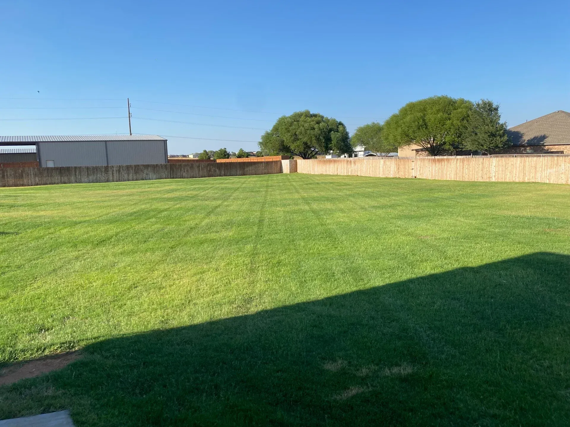 Green lawn surrounded by a wooden fence and a clear blue sky. A large shadow covers part of the grass.