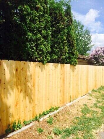 Cedar Fence - Grizzly Fence in Missoula, MT