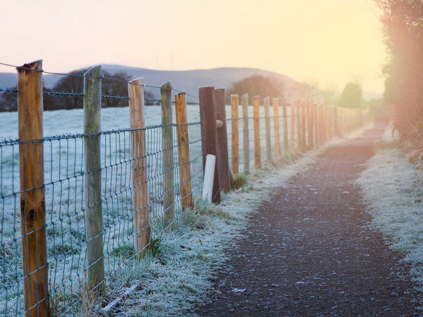Agricultural Contactors