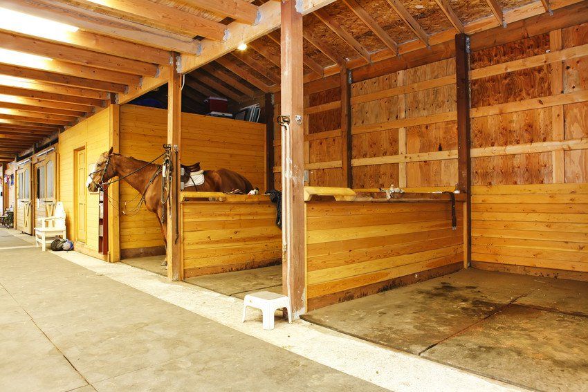 Large horse farm stable interiors