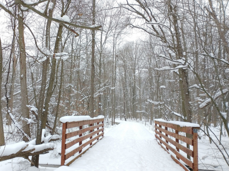winter activities grand rapids