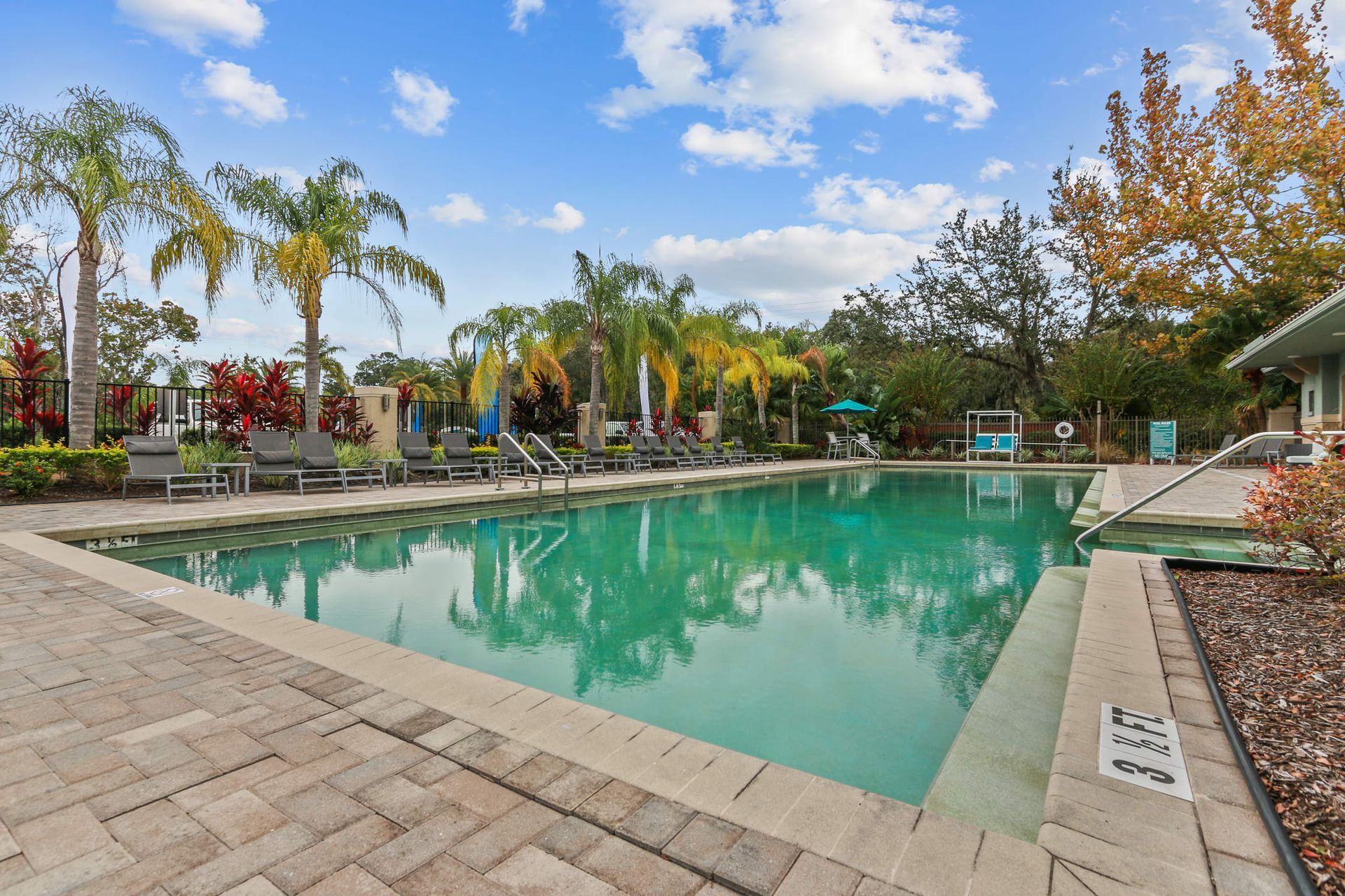 Swimming pool at Preserve at Westchase in Tampa, FL.