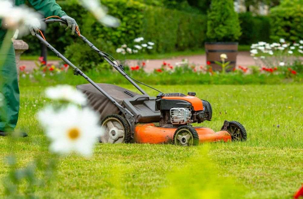 man handling a lawn mower to cut the grass