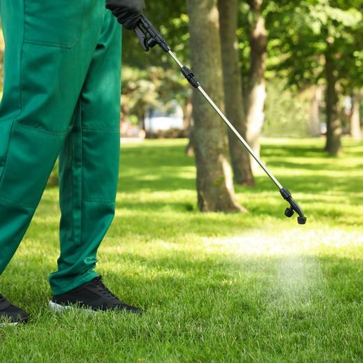 Worker spraying pesticide onto green lawn