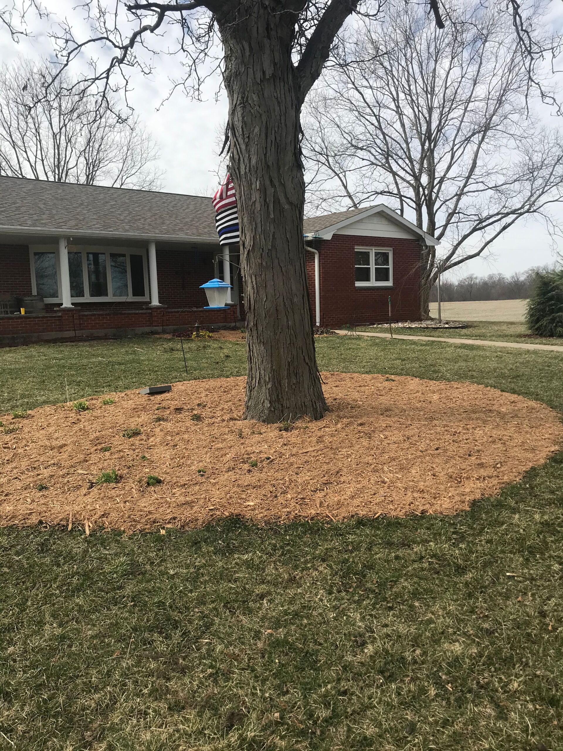 Lawn Care and Maintenance