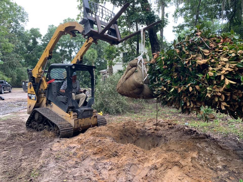Planting Tree — Bluffton, SC — LANDSource