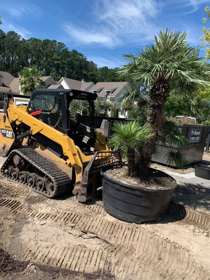 Lifting The Tree — Bluffton, SC — LANDSource