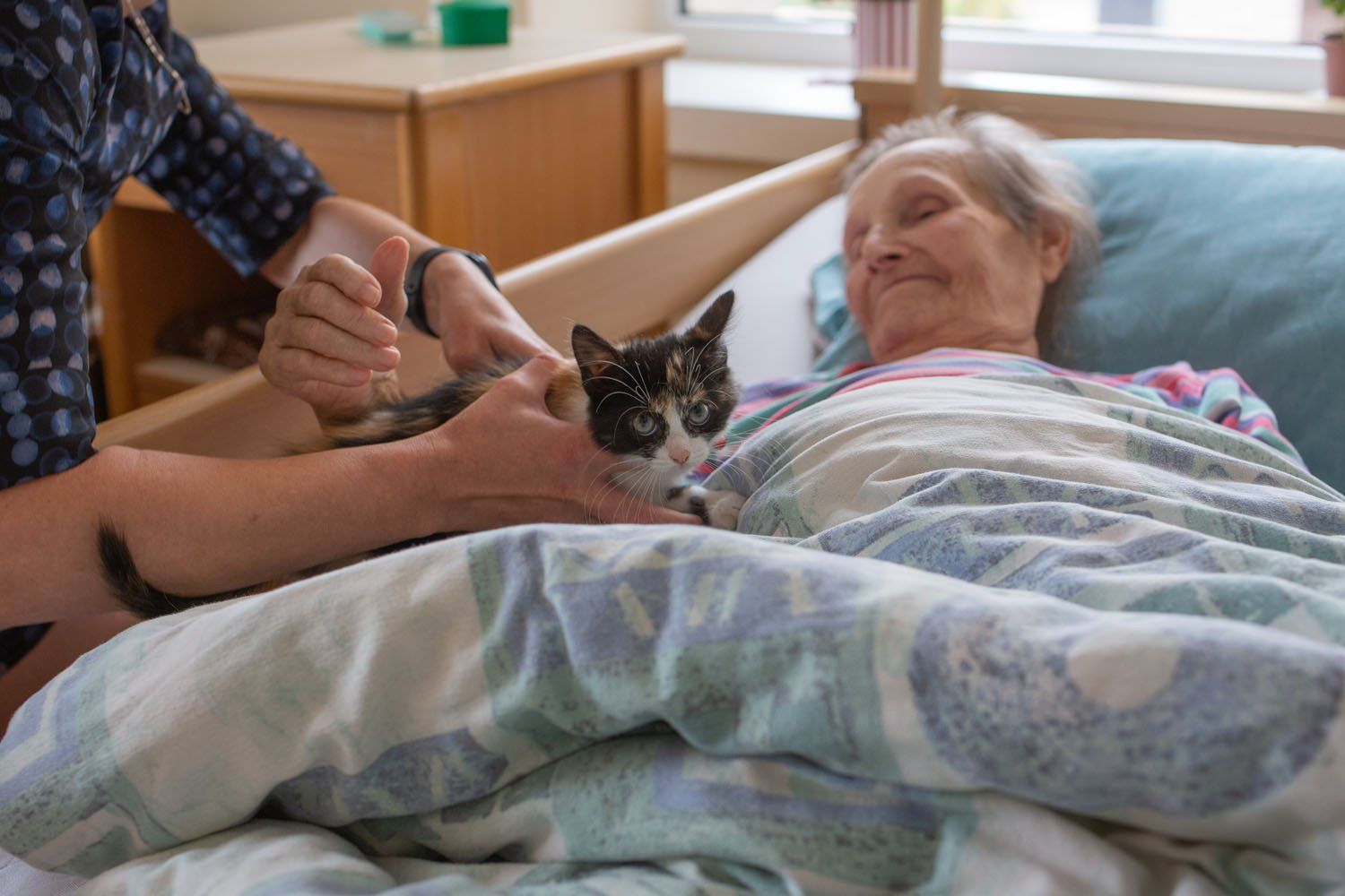 Globos namų „GIEDRUMA“ aplinka