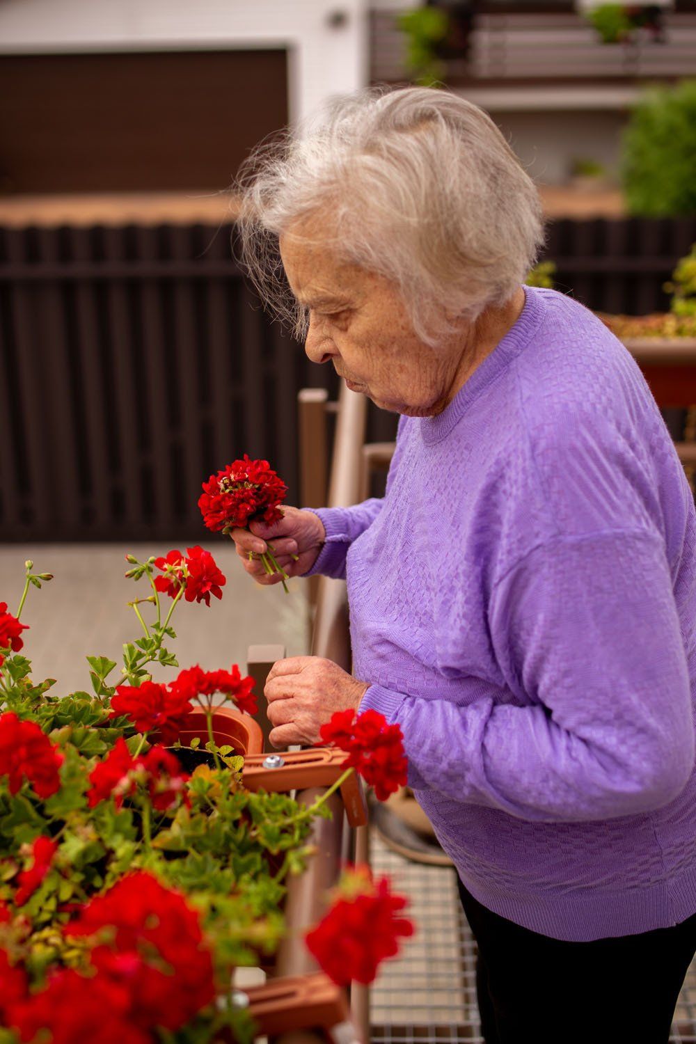 Globos namų „GIEDRUMA“ aplinka