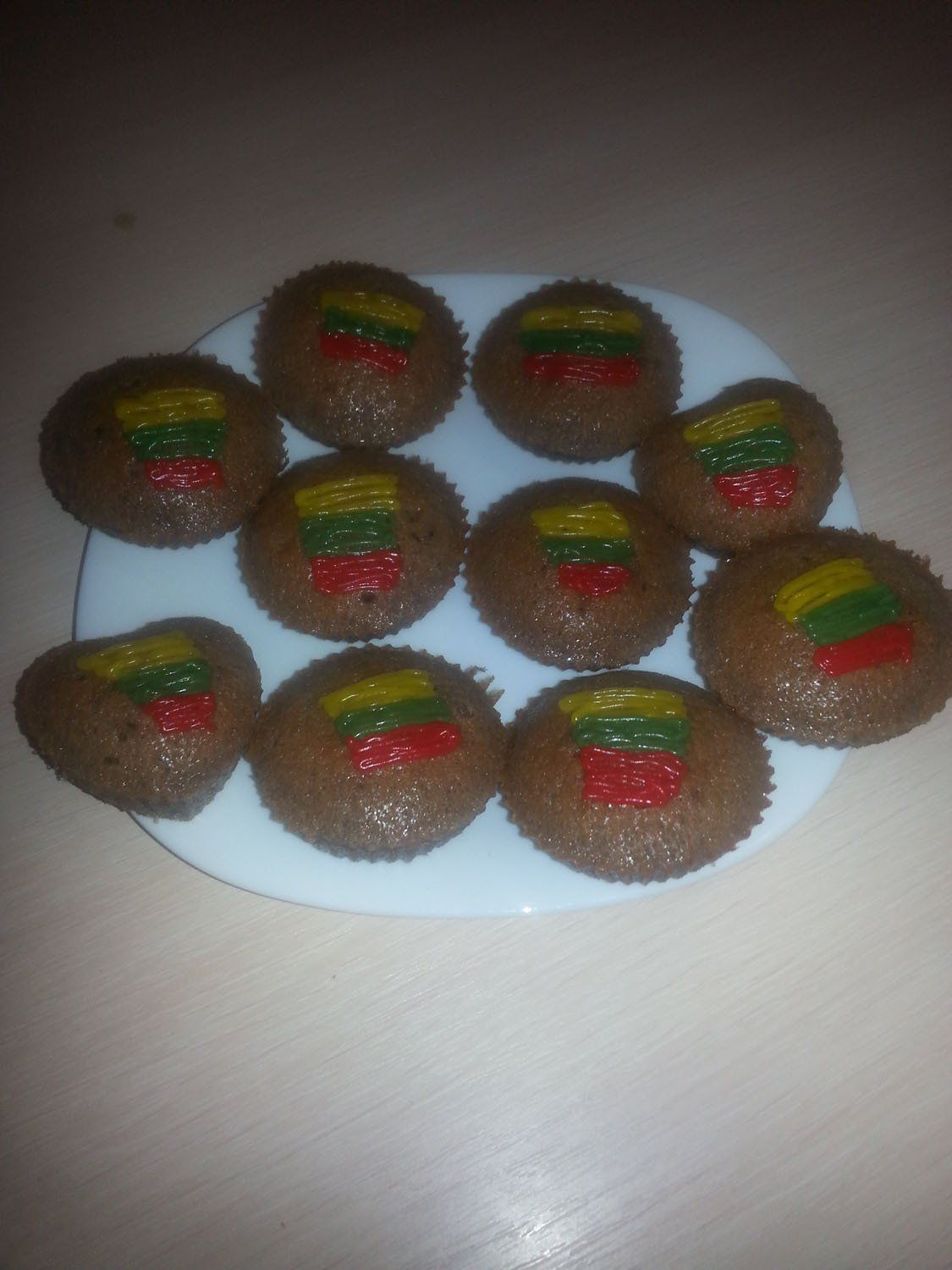 Globos namų „GIEDRUMA“ aplinka