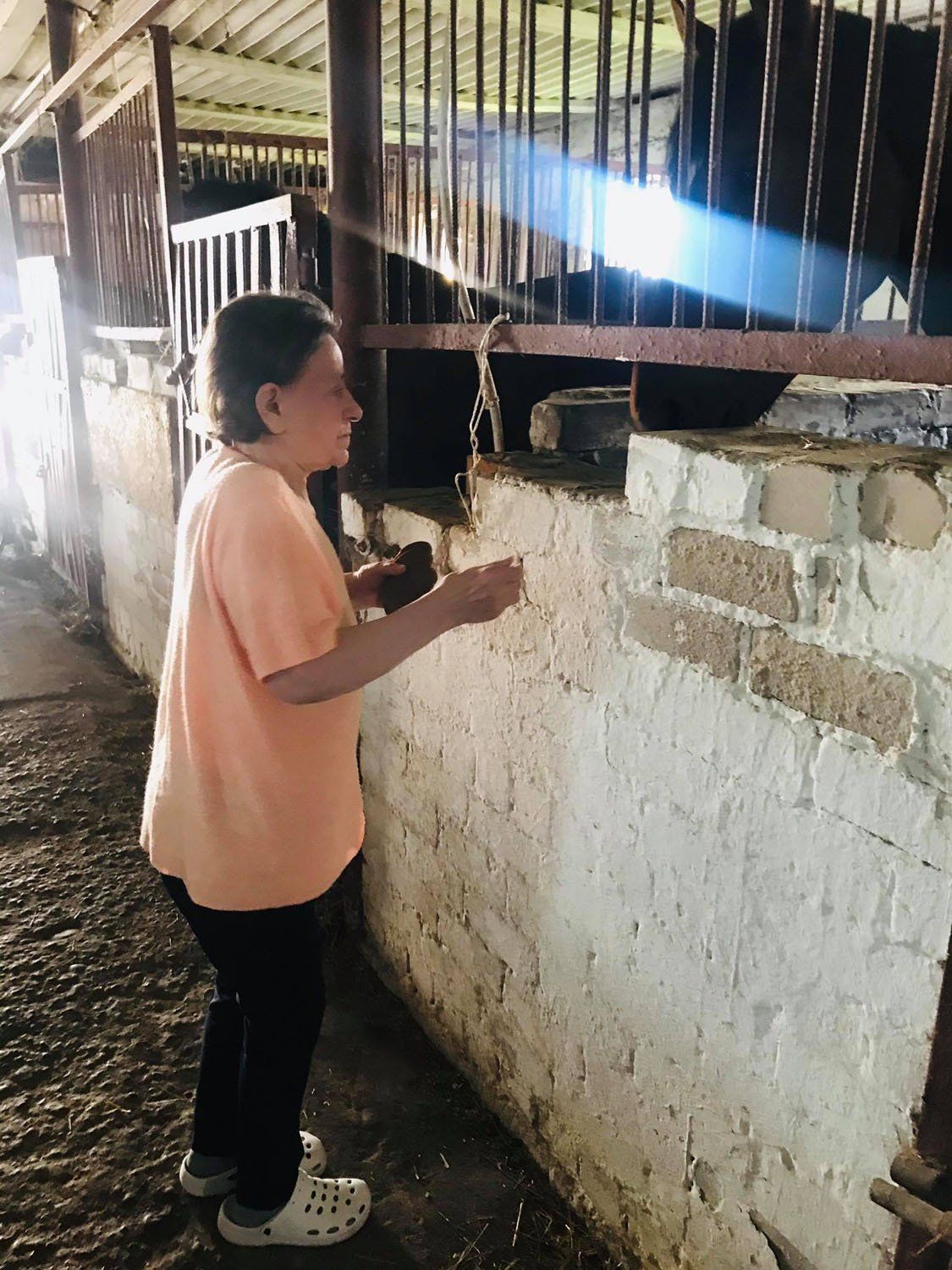 Globos namų „GIEDRUMA“ užimtumas