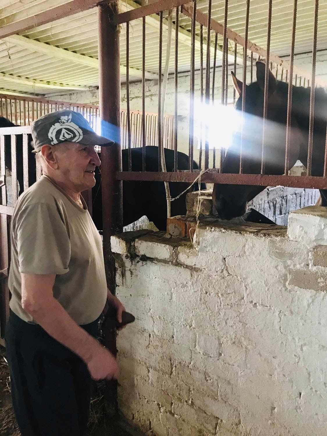 Globos namų „GIEDRUMA“ užimtumas