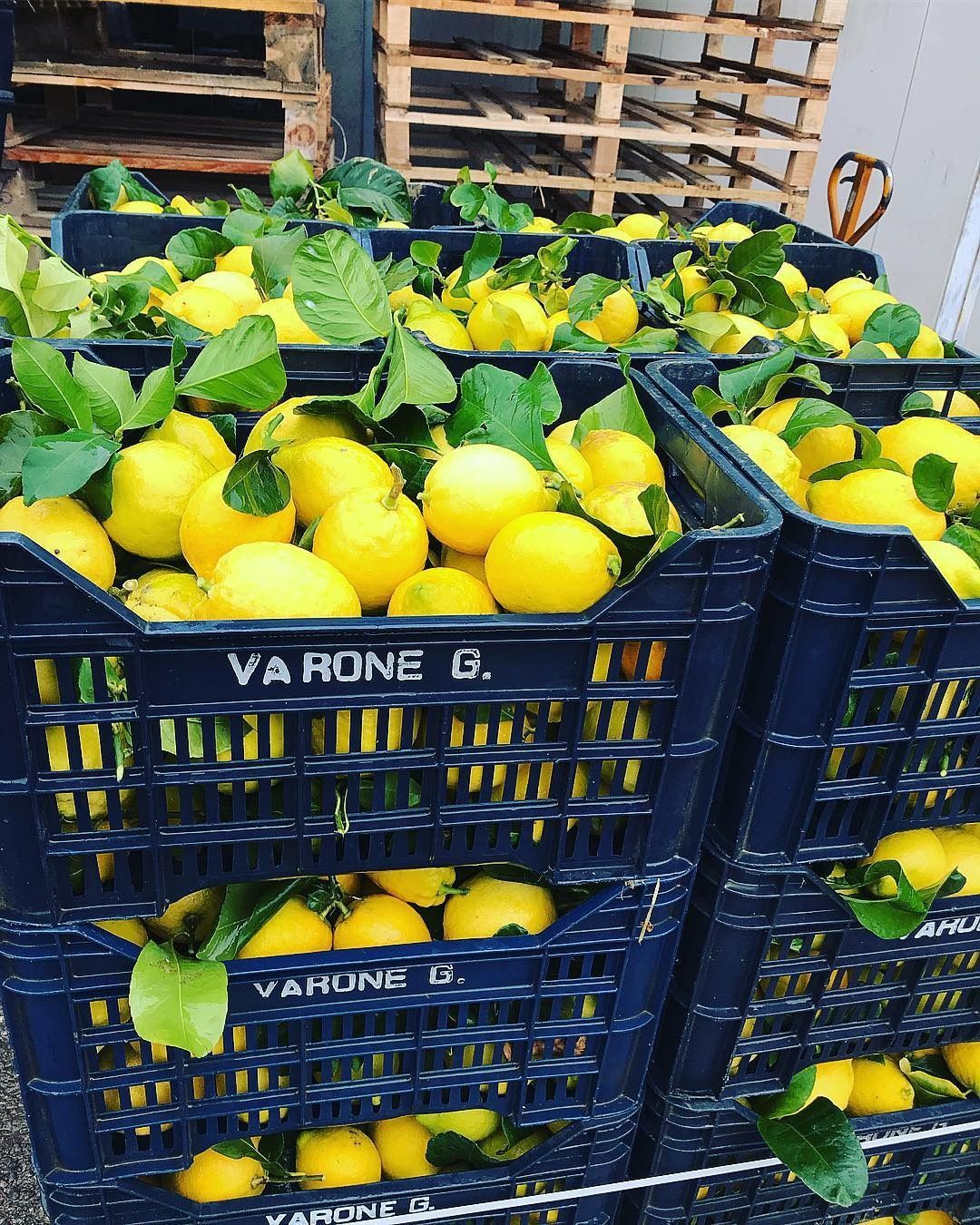 Un mucchio di casse piene di limoni sono accatastate l'una sull'altra.
