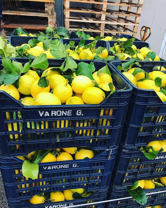 Un mucchio di casse piene di limoni sono accatastate l'una sull'altra.