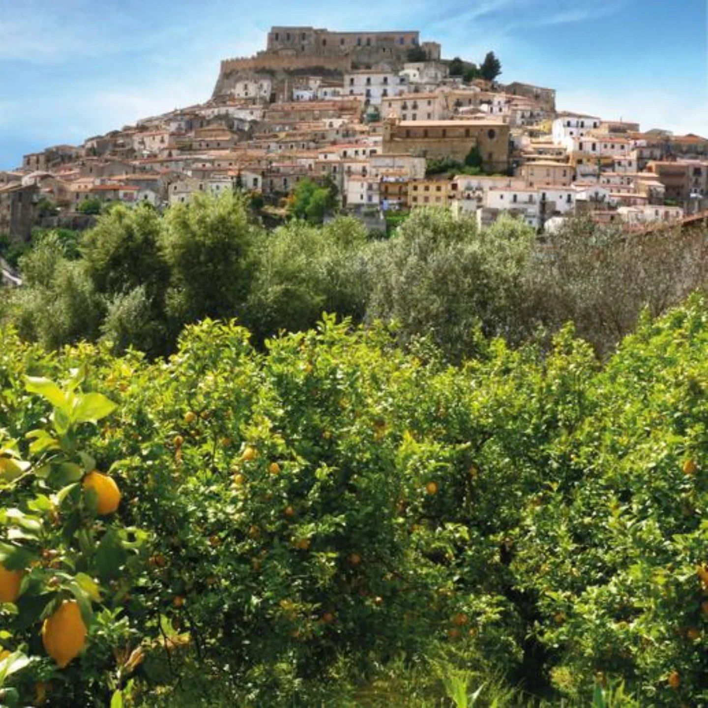Una piccola città si trova in cima a una collina circondata da alberi