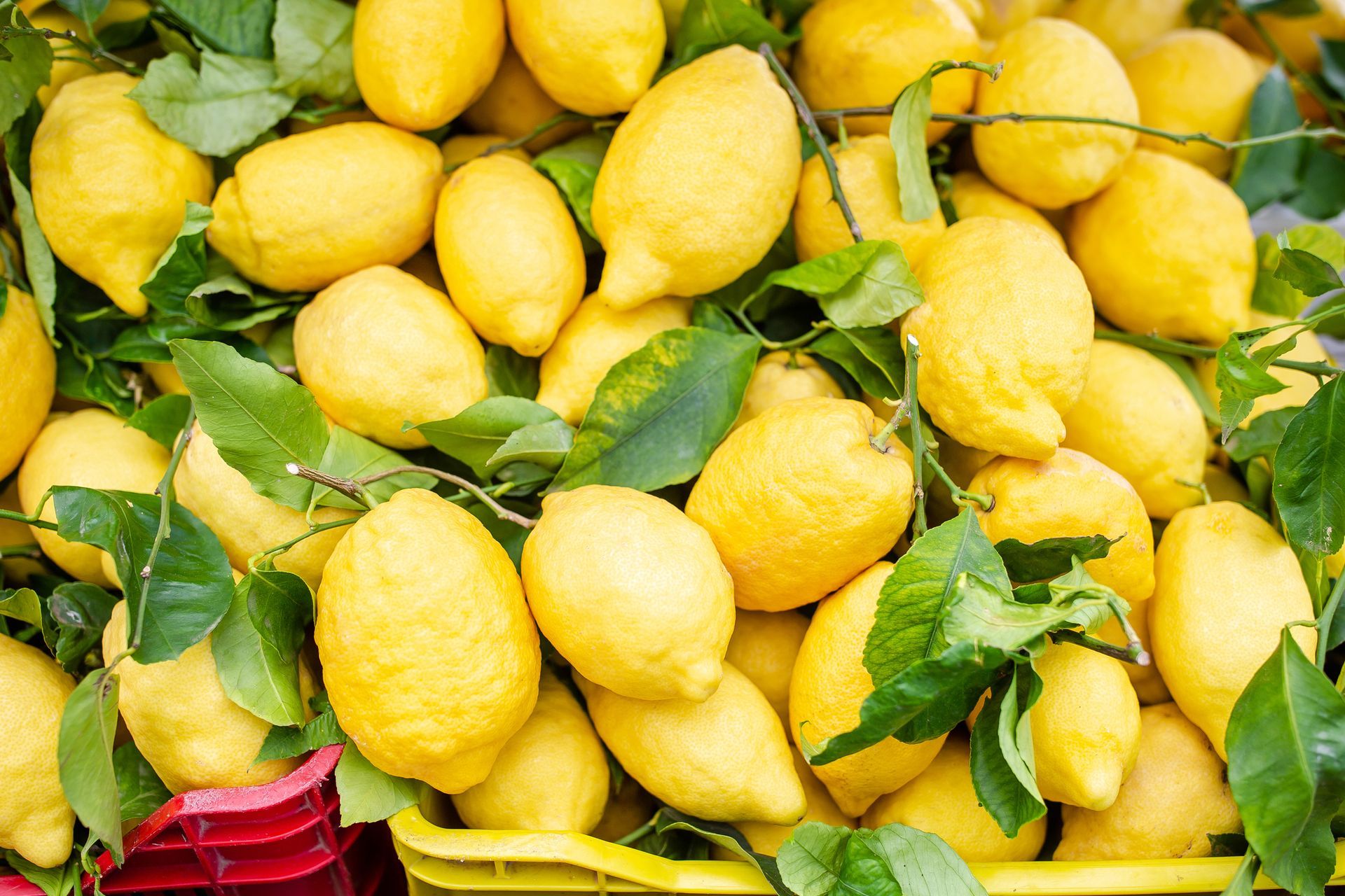 Un mazzo di limoni è disposto uno sopra l'altro in un cesto.