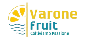 The logo for rocchesi l' antico limone calabrese