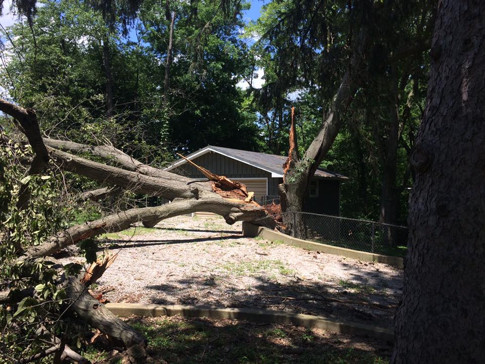 Storm Damaged Tree Removal — Springfield, IL — Jeff Berkler Tree Service