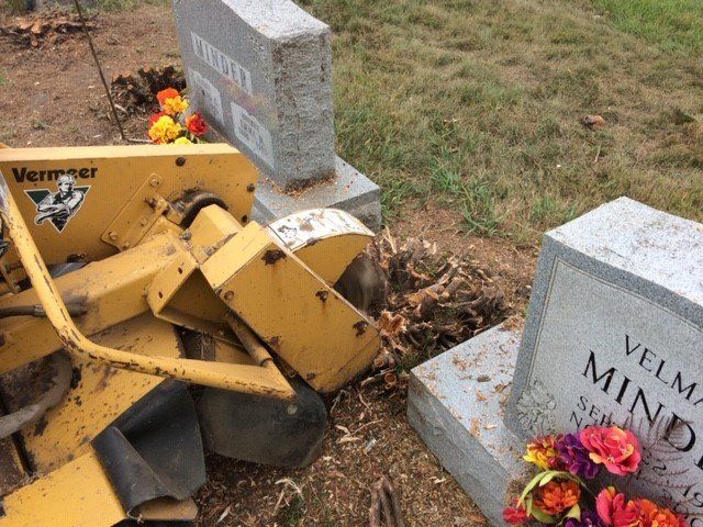 Stump Grinder — Springfield, IL — Jeff Berkler Tree Service