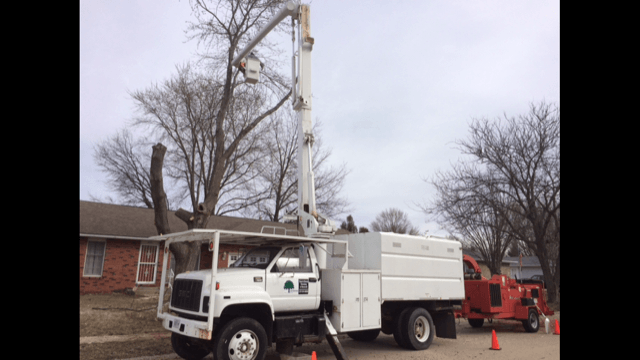White Truck Bucket — Springfield, IL — Jeff Berkler Tree Service