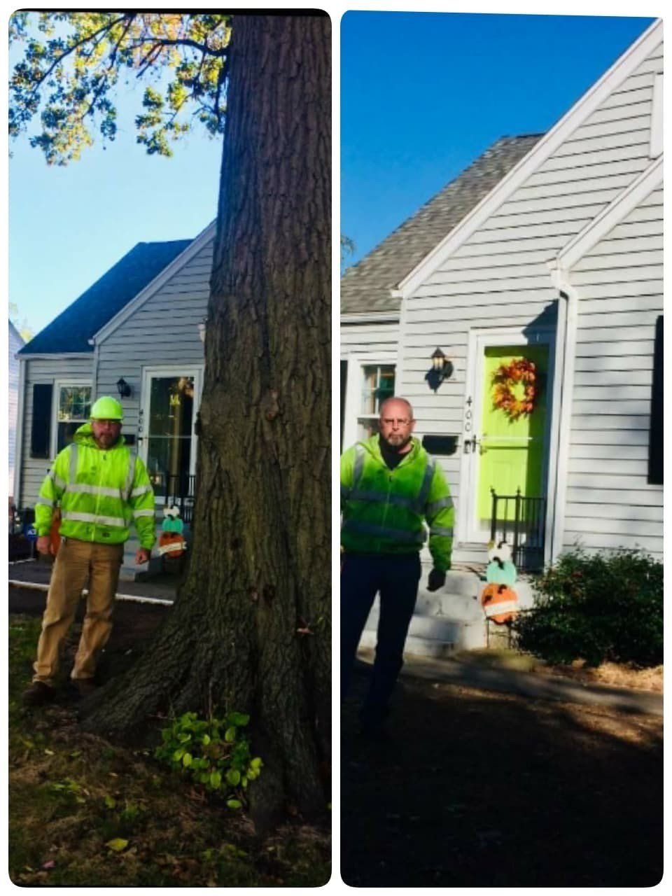 Before and After Tree Removal — Springfield, IL — Jeff Berkler Tree Service