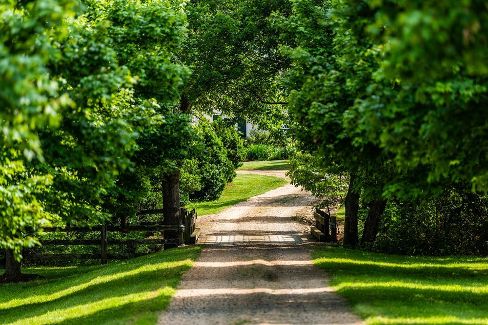 A Gravel Path Lined with Trees Leads Towards a House on A Sunny Day — Harwood Plumbing & Gasfitting Pty Ltd in Virginia, NT