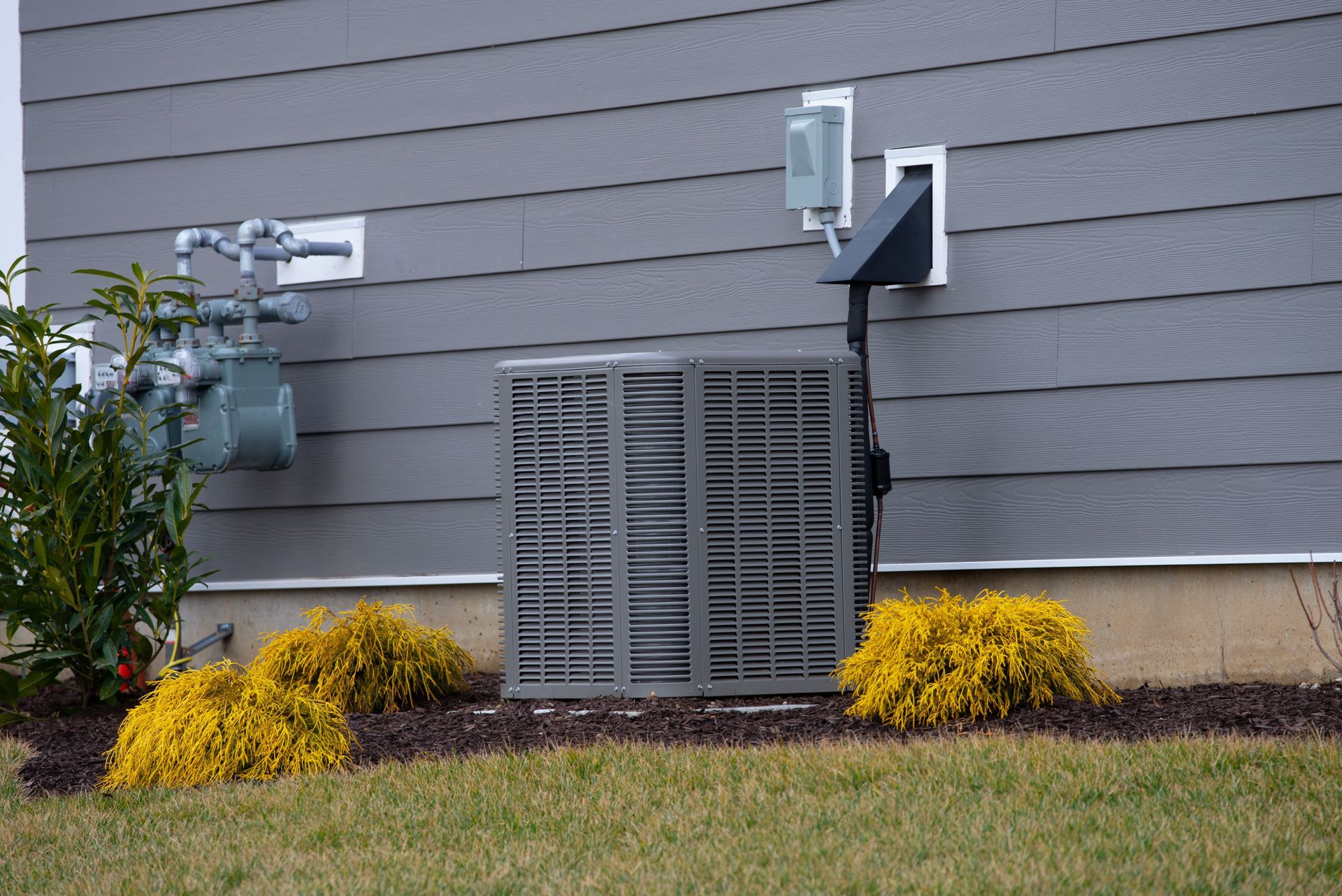 A gray exterior home wall with a central air conditioning unit, utility meter, and two small yellow bushes in mulch.