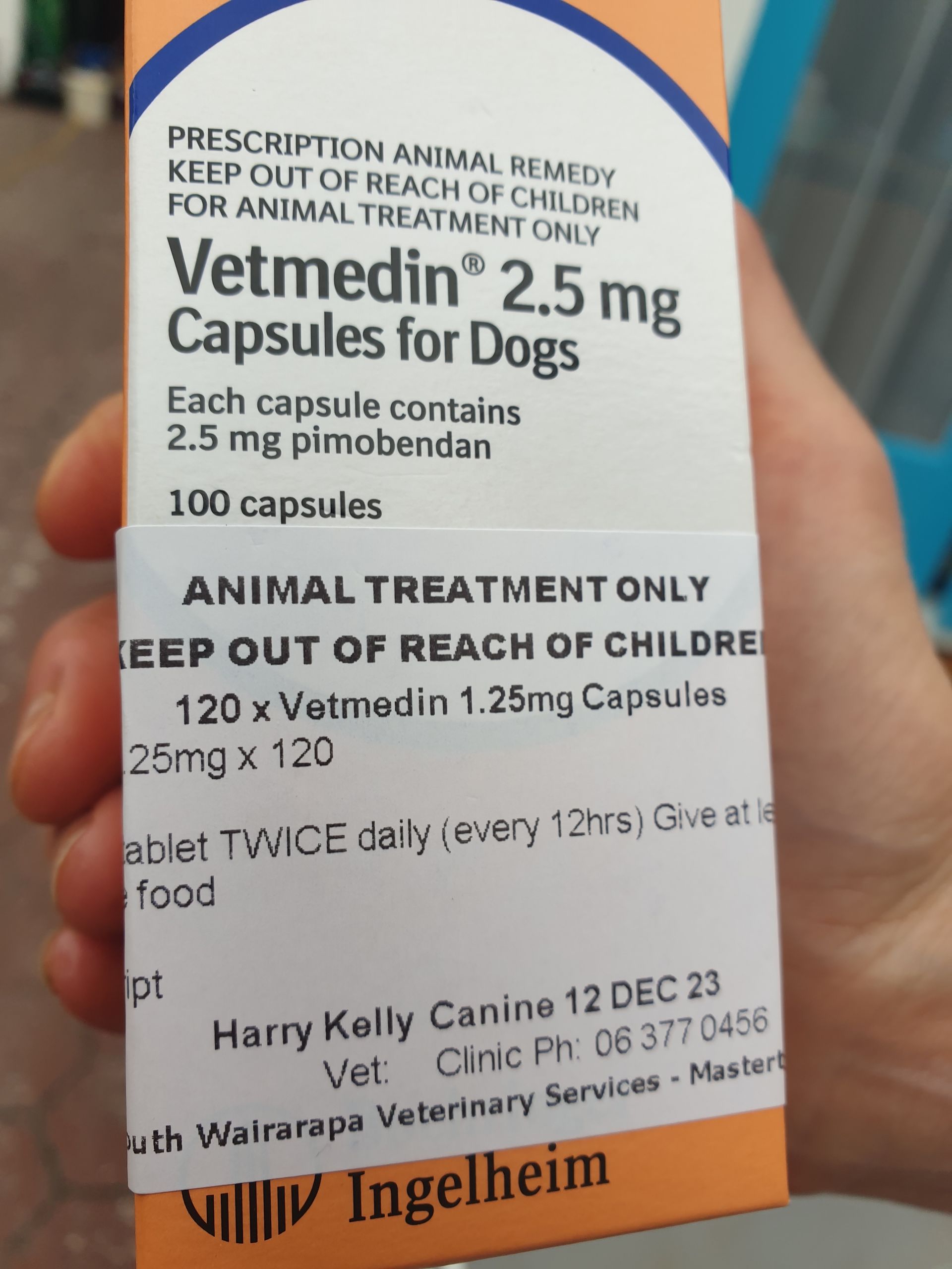 After being given an incorrect dosage of medication for my dog, I take a look at what 'human error' 