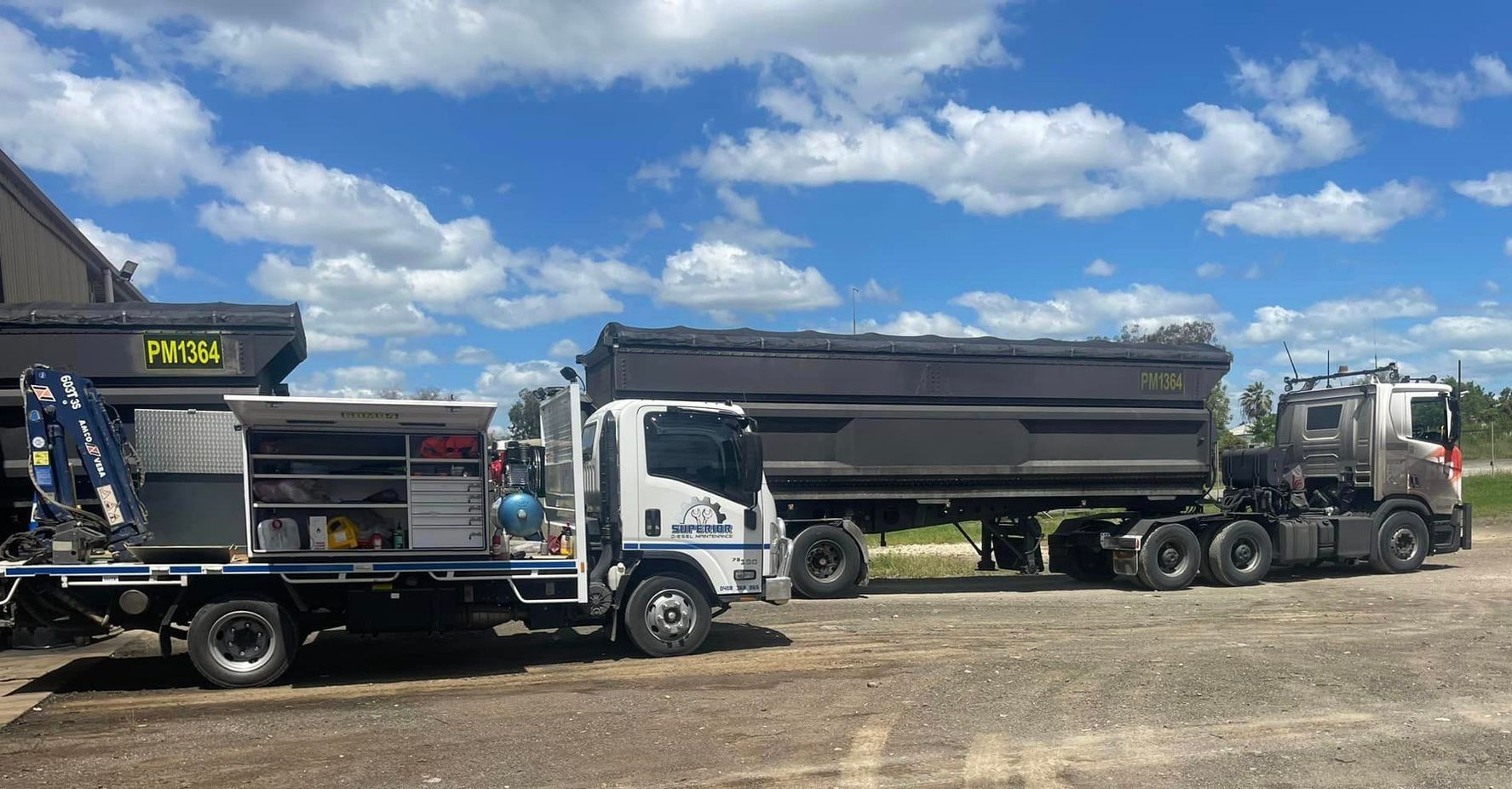 Mechanic Inspecting Truck for Safety — Superior Diesel Maintenance in Westdale, NSW