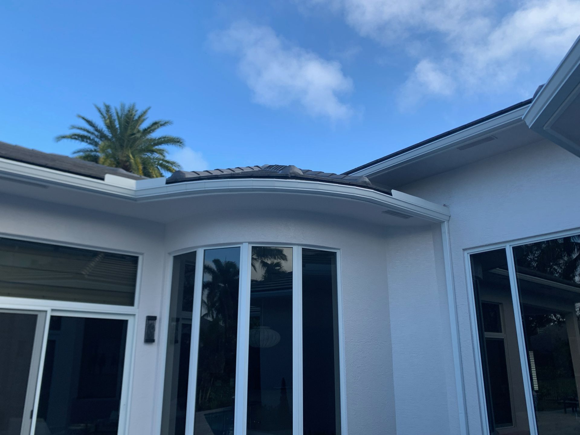Black gutter guard installed on a roof with gray shingles.