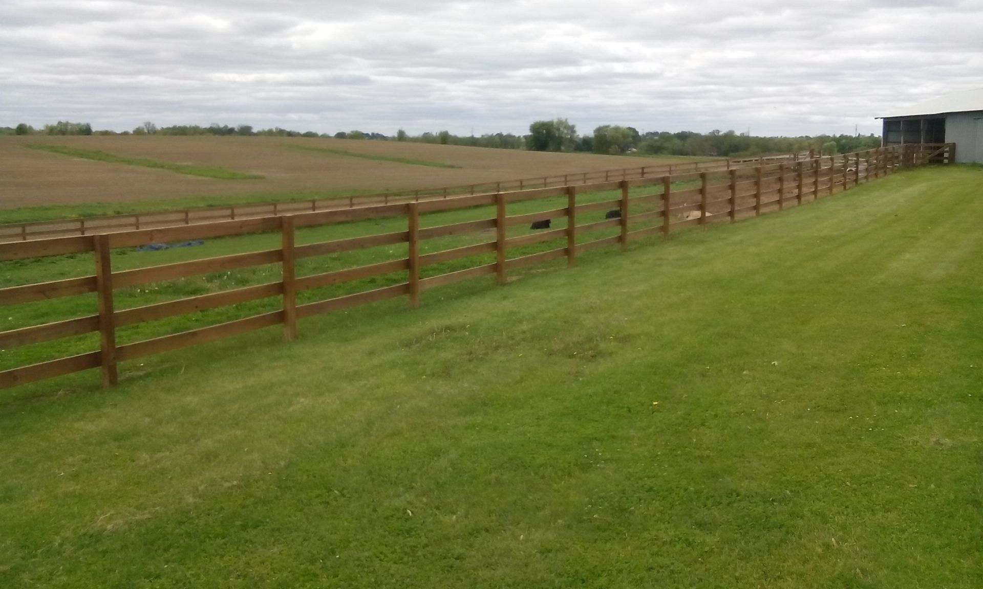 A wooden fence surrounds a lush green field.