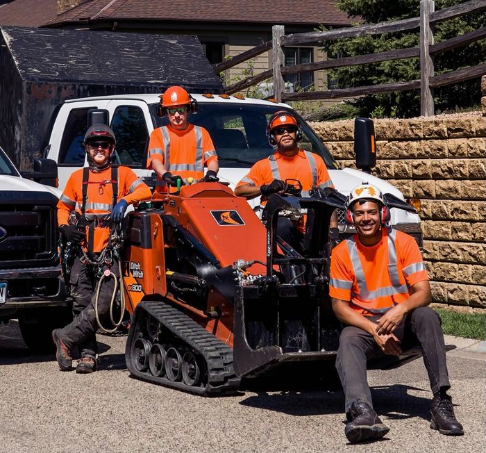 tree service team ready to work in maple grove