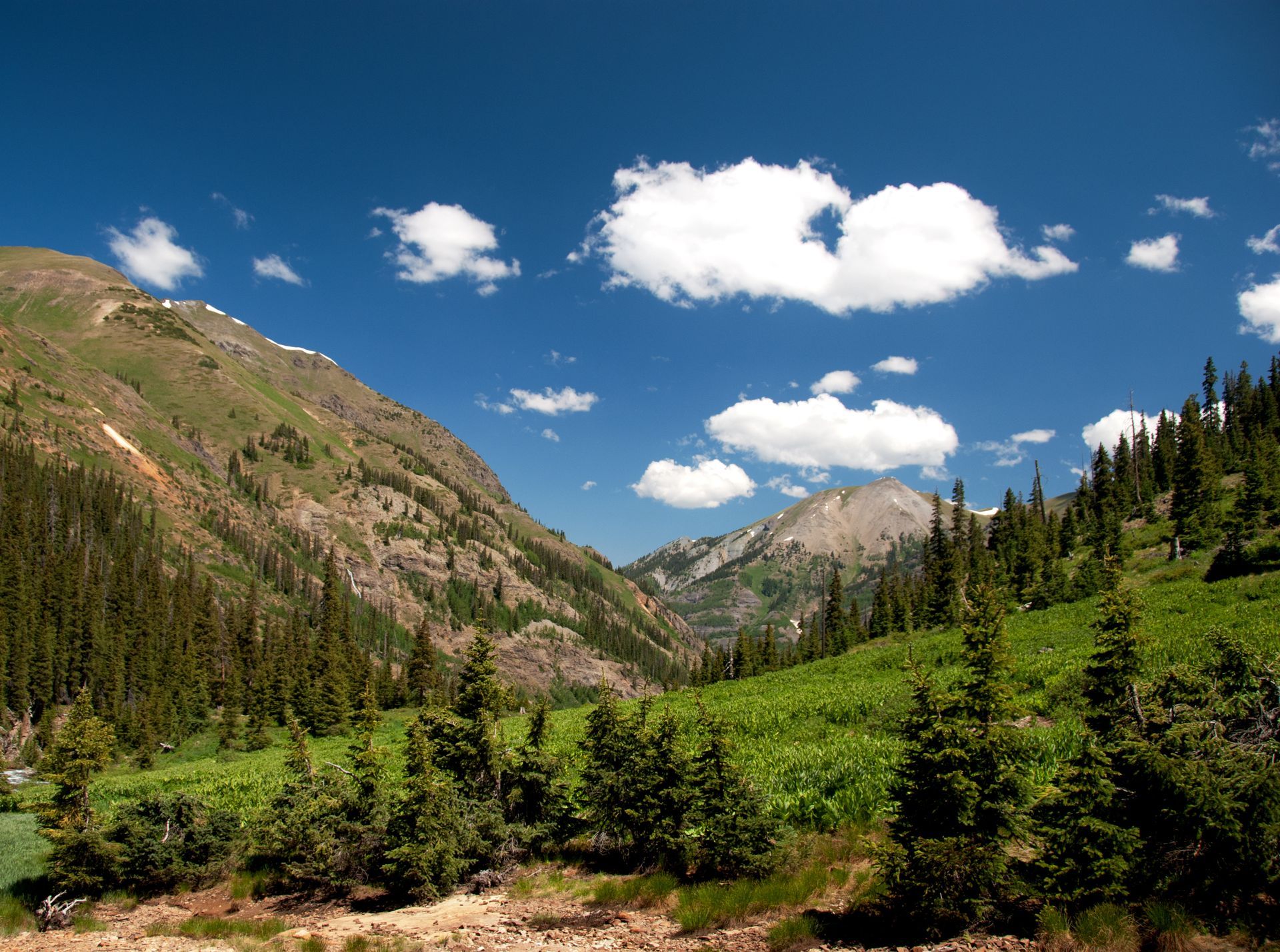 Uncompahgre National Forest
