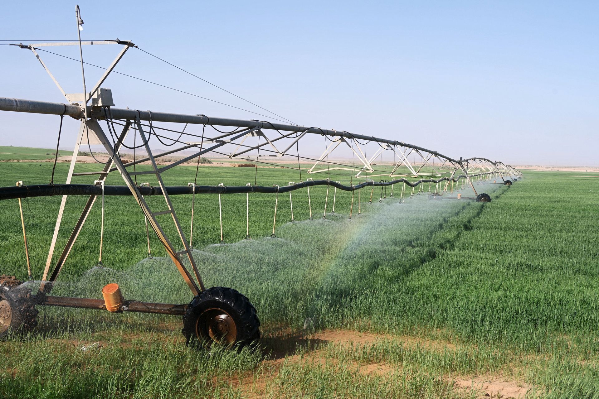Irrigation sprinkler watering a green agricultural field under a clear sky