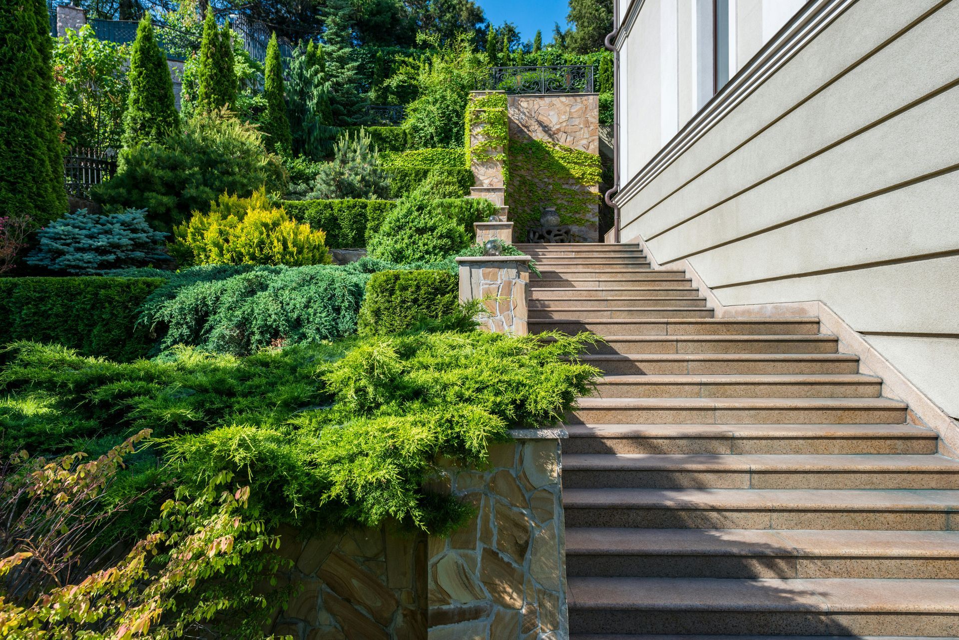 Stone stairs beside a white building descend through a lush green garden with shrubs and trees.