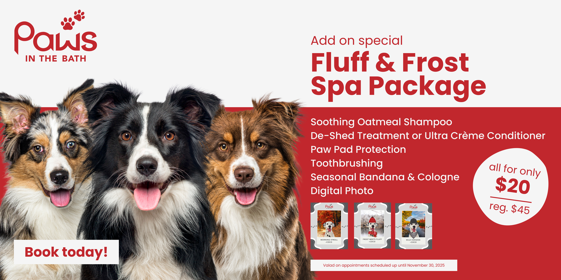 Three happy dogs promoting the Paws in the Bath Fluff & Frost Spa Package featuring shampoo, conditioning, and seasonal grooming for $20 in Aurora, Bradford, Keswick, King City, Newmarket, and Toronto.
