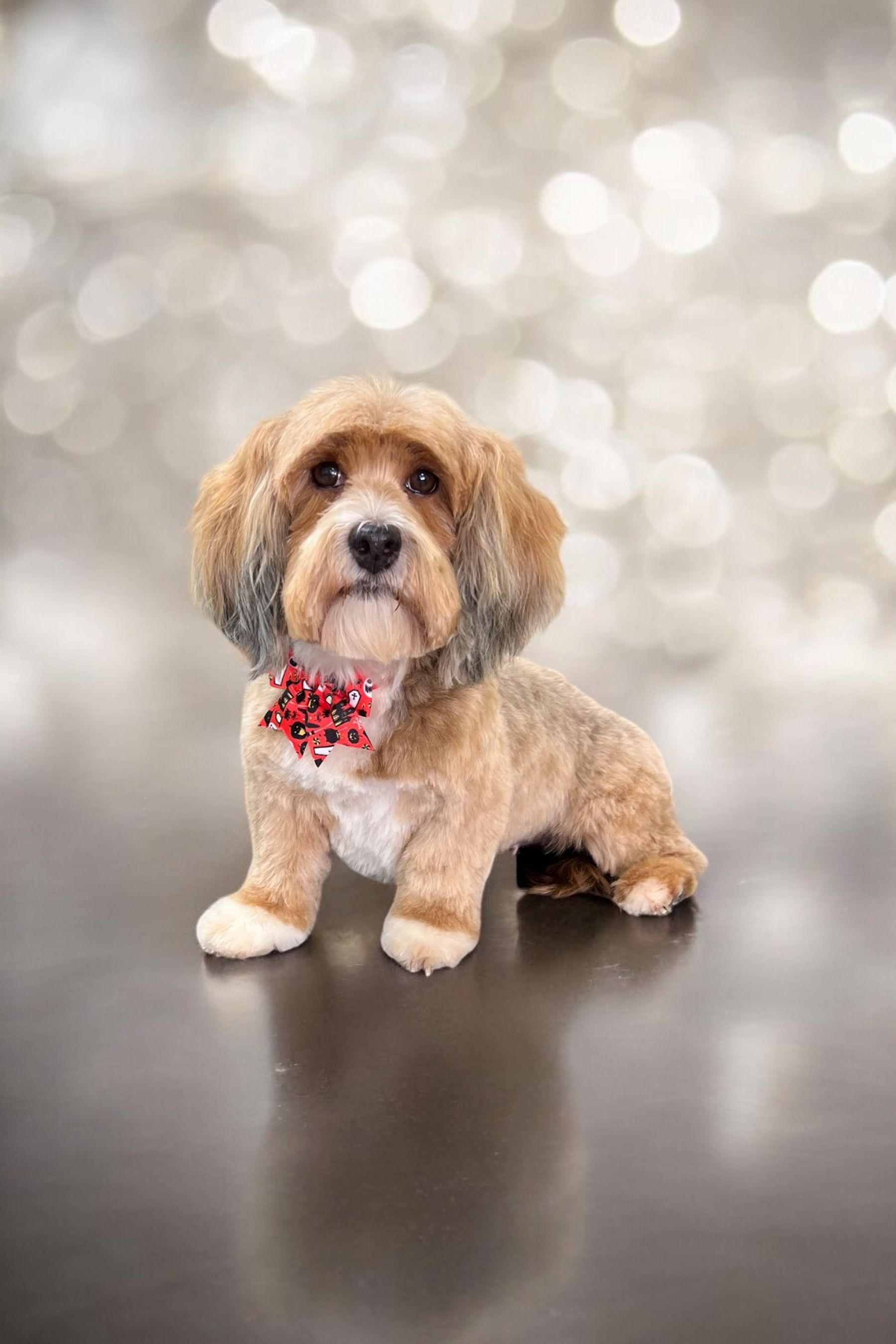 A stuffed dog wearing a bow tie is sitting on a table.