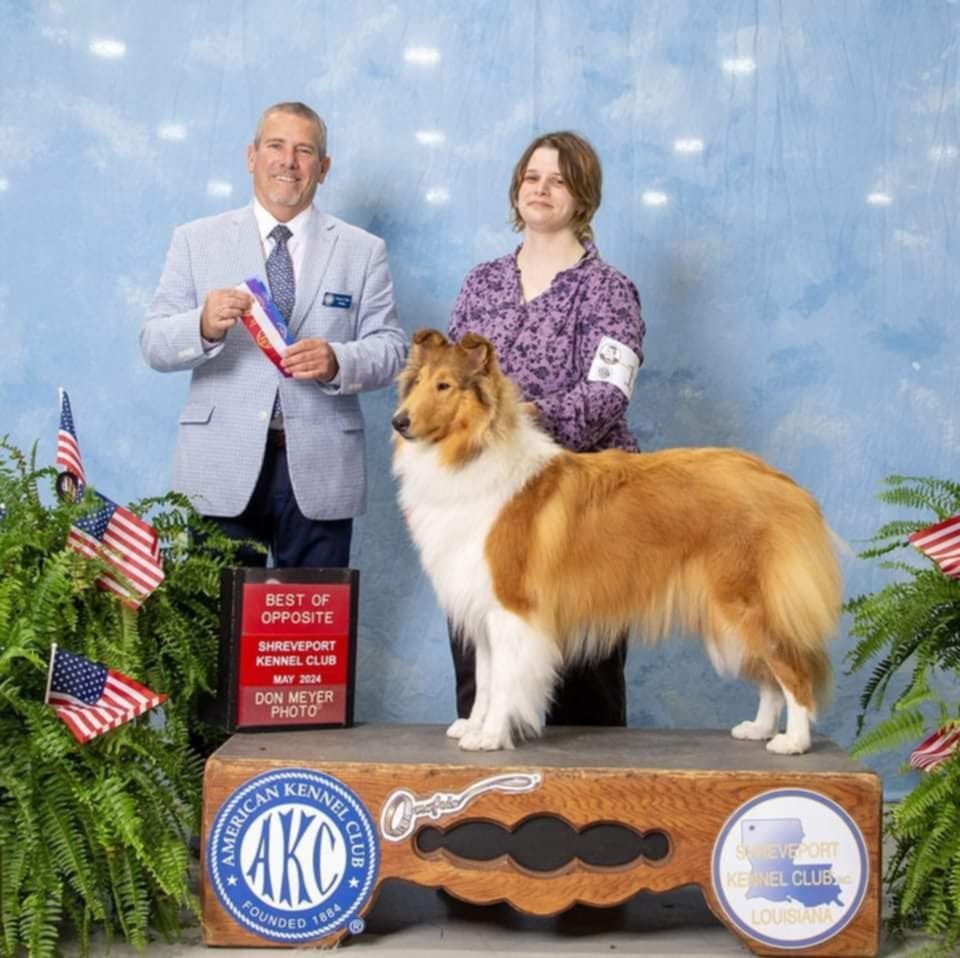 A man and a woman standing next to a collie dog on a podium that says akc