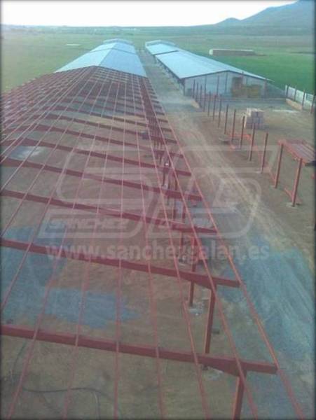 Estructura metálica nave ganadera