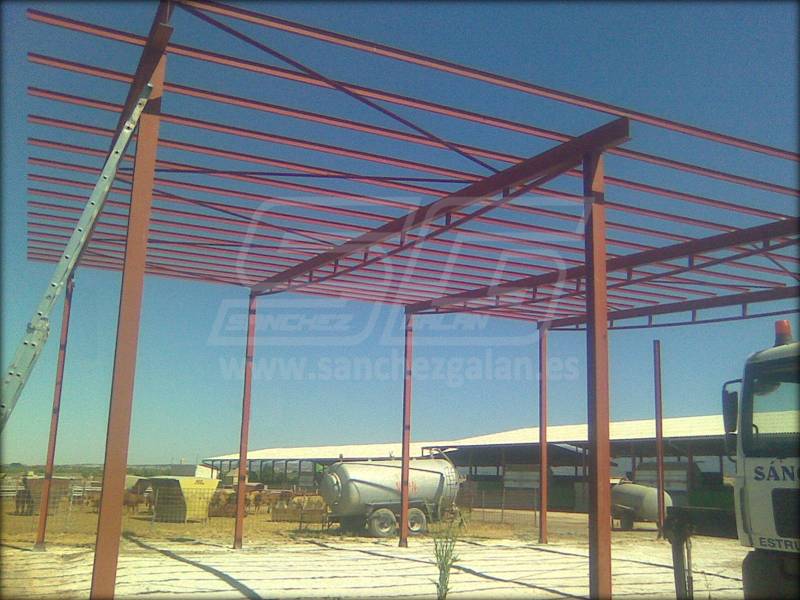 Estructura metálica nave ganadera