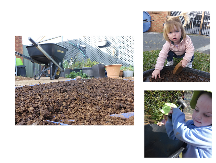 A little girl is playing with dirt and a wheelbarrow